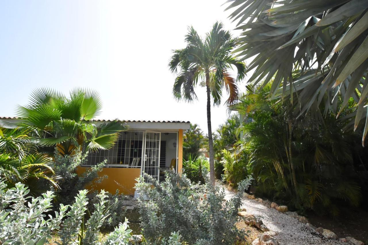 וילמסטאד Seru Coral Apartment מראה חיצוני תמונה